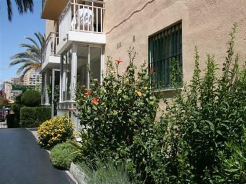 Apartamentos Palm Court Benidorm Extérieur photo
