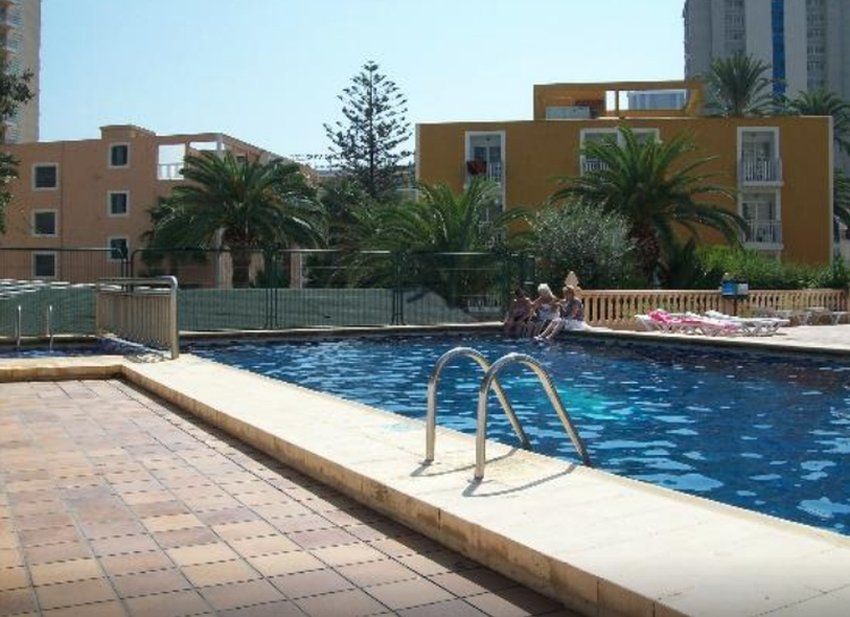 Apartamentos Palm Court Benidorm Extérieur photo
