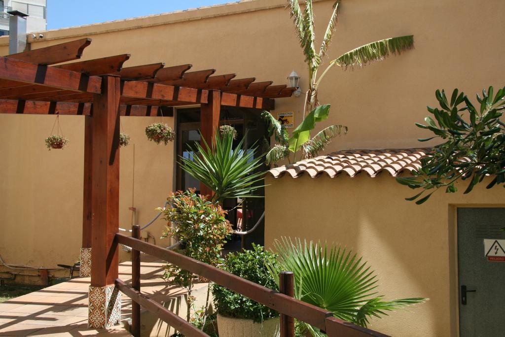 Apartamentos Palm Court Benidorm Extérieur photo