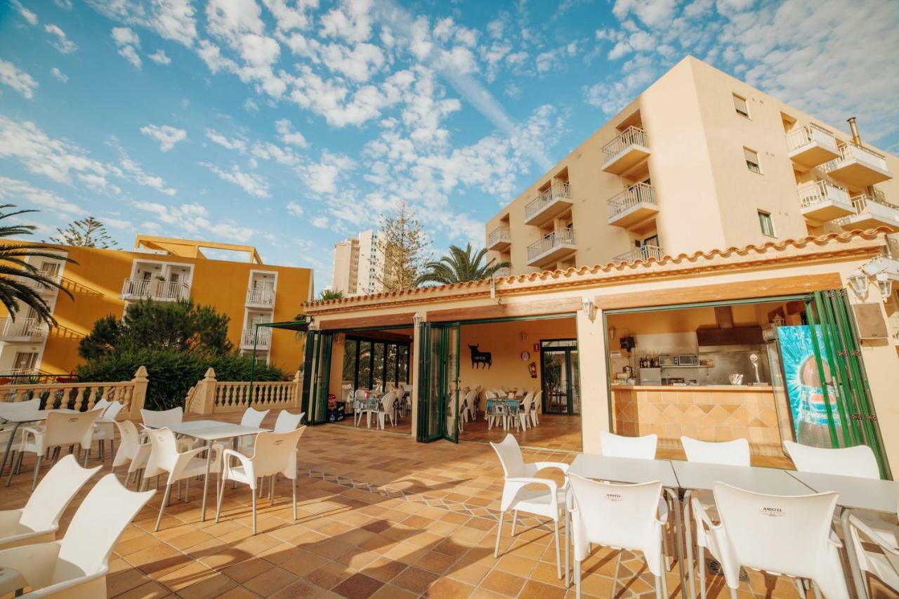 Apartamentos Palm Court Benidorm Extérieur photo