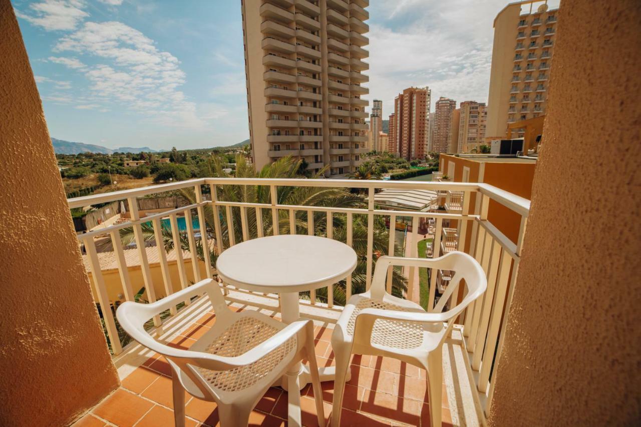 Apartamentos Palm Court Benidorm Extérieur photo