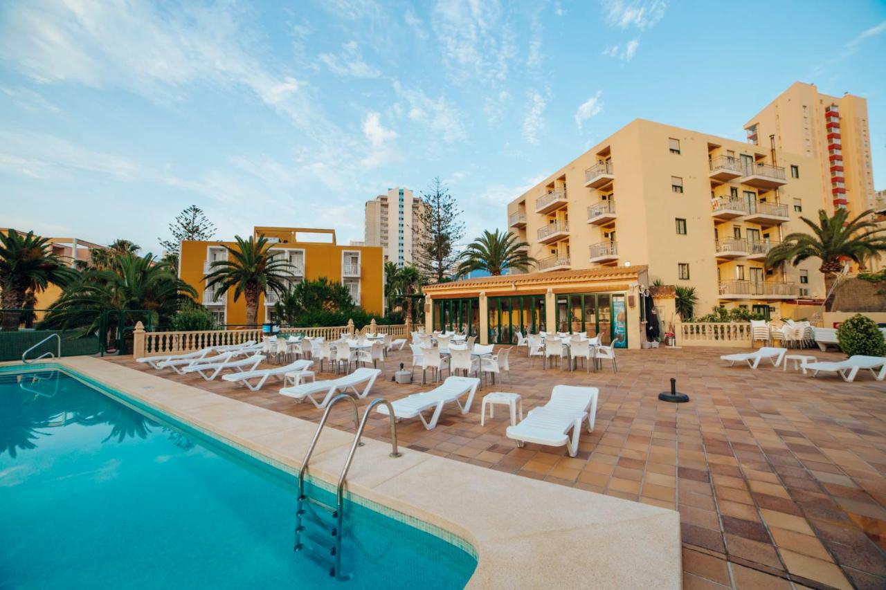 Apartamentos Palm Court Benidorm Extérieur photo